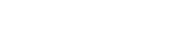 Big Brain Holdings